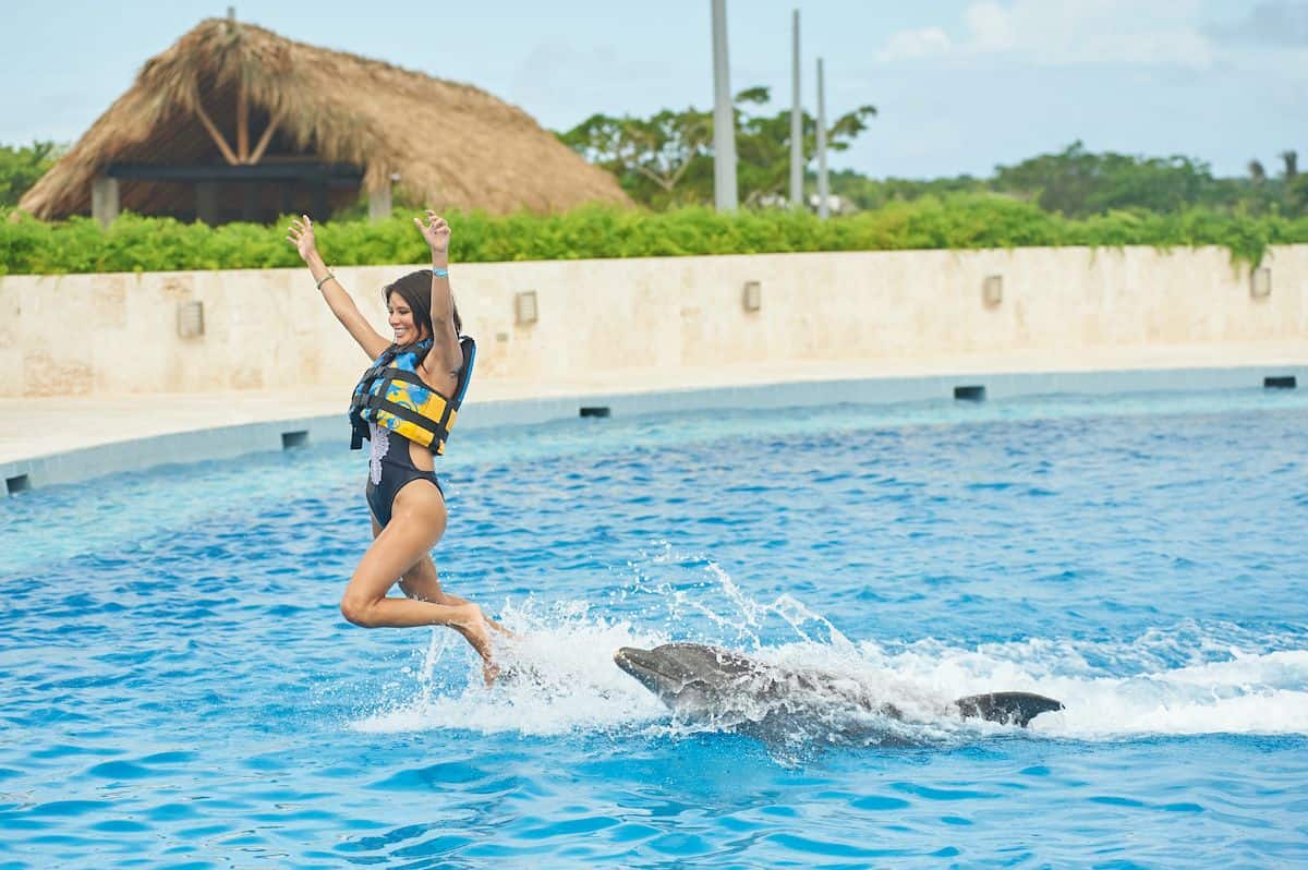 Dolphin Royal Swim in Punta Cana Adventures